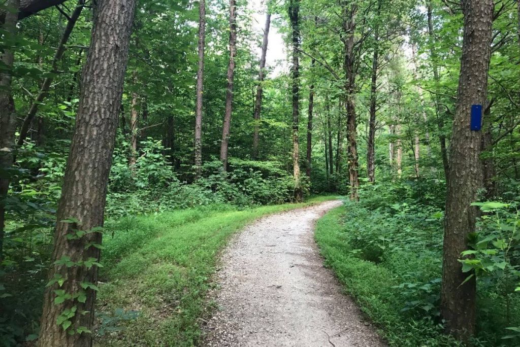 Mammoth Cave Cabins RV