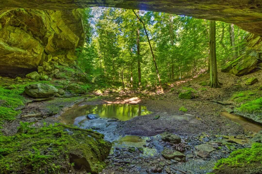 Mammoth Cave Cabins RV