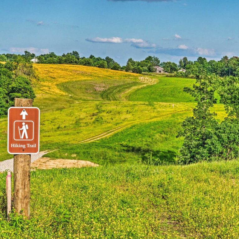 Mammoth Cave Cabins & RV
