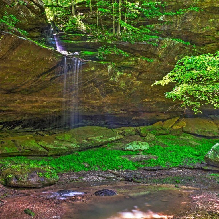 Mammoth Cave Cabins & RV